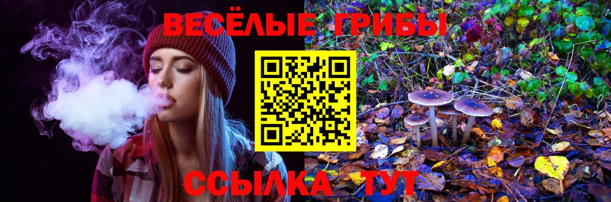 Псилоцибиновые грибы мицелий  наркотики  Новочебоксарск  Вход с VPN 